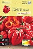 foto Hortus Le 08HAS0906 Le Straordinarie Habanero Red Peperoncino, 13x0.3x20 cm, miglior prezzo EUR 2,80, bestseller 2024