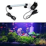 foto JOYTUTUS Illuminazione Acquario, LED Lampada Acquario Luci dell'acquario, Sommergibile Sott'Acqua Luci a LED in Cristallo, Bianco Luminosa Eccellente Dell'acquario Striscia Luminosa -18CM, 2W, 18 LED, miglior prezzo EUR 12,99, bestseller 2025