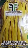 foto 150 C.ca Semi Fagiolo Rampicante Giallo Meraviglia Di Venezia - Phaseolus Vulgaris In Confezione Originale Prodotto in Italia - Fagioli rampicanti gialli, miglior prezzo EUR 7,40, bestseller 2024