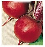 foto 350 C.ca Semi Barbabietola da Orto Di Chioggia - Beta Vulgaris In Confezione Originale Prodotto in Italia - Barbabietole, miglior prezzo EUR 7,40, bestseller 2024