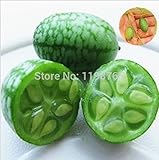 foto 20pcs verdure e semi di frutta Mini anguria Sementi gusto come cetrioli Bonsai piante Semi per la casa e giardino, miglior prezzo EUR 9,99, bestseller 2025