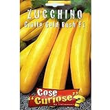 foto Vivai Le Georgiche Zucchino Giallo Gold Rush F1 (Semente), miglior prezzo EUR 6,50, bestseller 2024