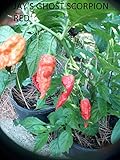 foto SEMI PEPERONCINO JAI'S GHOST SCORPION RED+GUIDA ALLA COLTIVAZIONE, miglior prezzo EUR 4,00, bestseller 2024