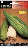 foto Semi ortaggi di Batlle - Zucca Luffa (Seeds), miglior prezzo EUR 5,29, bestseller 2024