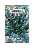 foto Semi Cavolo Nero di Toscana (2 bustine), miglior prezzo EUR 2,00, bestseller 2025