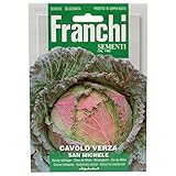 foto Franchi Sementi - Cavolo Verza San Michele, miglior prezzo EUR 2,61, bestseller 2025