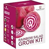 foto ARCOBALENO insalata SEME Kit per far crescere SCATOLA REGALO DA Thompson & MORGAN 5 Crisp & COLORATO varietà di Insalata to Grow ; lettuga, MOLLA CIPOLLA, RAVANELLO, barbabietola & CETRIOLO semi, miglior prezzo EUR 12,61, bestseller 2024