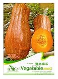 foto 16 SEMI TOTALI - 2 CONFEZIONI CON 8 SEMI DI ZUCCA CIASCUNA CUCURBITA MOSCHATA DUCH. VEGETALE PIANTA ORTAGGIO PUMPKIN, miglior prezzo EUR 7,40, bestseller 2025