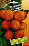 foto Pomodoro a Grappoli Semi Corbarino pomodoro - 5 grammi, miglior prezzo EUR 10,99, bestseller 2024