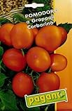 foto Pomodoro a Grappoli Semi Corbarino pomodoro - 5 grammi, miglior prezzo EUR 10,99, bestseller 2024