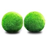 foto SINOTECHQIN 1PCS Muschio Piante acquatiche Live Semi di Erba Acqua Moss Ball Live Acquario pianta Ornamento Paesaggio, miglior prezzo EUR 1,41, bestseller 2024