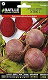 foto Semi Ortaggi Di Batlle - Barbabietola Detroit 2 (500 Seeds), miglior prezzo EUR 5,21, bestseller 2024