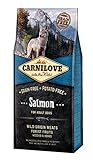 foto CARNILOVE Salmone 12 kg, miglior prezzo EUR 57,00, bestseller 2024