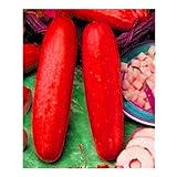 foto 10pcs / lot Red cetriolo semi deliziose verdure delle piante da frutto BonsaïPianta, miglior prezzo EUR 10,99, bestseller 2024