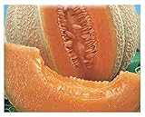 foto 150 C.ca Semi Melone Top Mark - Cucumis Melo In Confezione Originale Prodotto in Italia - Meloni, miglior prezzo EUR 7,40, bestseller 2024