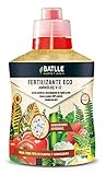 foto Semillas Batlle 710850UNID - Fertilizzante ecologicoper cactus, 400 ml, miglior prezzo EUR 5,32, bestseller 2024