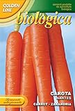 foto CAROTA NANTESE BIO, miglior prezzo EUR 3,32, bestseller 2024