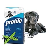 foto Prolife Puppy Giant 12 Kilogramm, miglior prezzo EUR 44,75, bestseller 2024