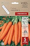 foto Hortus 07PRE030N Nantese 2 Carota, Nastro Preseminate, 13x0.7x20 cm, miglior prezzo EUR 2,60, bestseller 2025