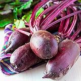 foto Semi di Rywal di barbabietola - Beta vulgaris var. conditiva, miglior prezzo EUR 3,79, bestseller 2024