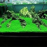 foto Semi di piante da acquario, 1 sacco, a crescita rapida, doppie foglie, tappeto d'erba acquatica per acquario, decorazione da giardino, miglior prezzo EUR 2,28, bestseller 2024