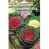 foto Vivai Le Georgiche Cavolo Ornamentale In Miscuglio (Semente), miglior prezzo EUR 4,90, bestseller 2024