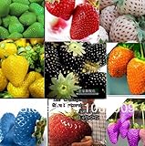 foto 2100pcs 30kinds SUPERBIG arrampicata semi di fragola sementi di ortaggi Frutto di un piantine di fragole balcone piante giardino di impianto, miglior prezzo EUR 11,32, bestseller 2024