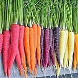 foto 300pcs carota Semi 100% del seme reale Delicious dolce e semi di ortaggi sani carota giardino della casa Impianto misto libero, miglior prezzo EUR 10,99, bestseller 2024