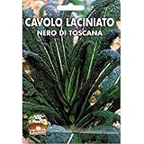 foto Vivai Le Georgiche Cavolo Laciniato Nero di Toscana (Semente), miglior prezzo EUR 4,20, bestseller 2024
