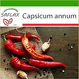 foto SAFLAX - Peperoncino di Cayenna - 20 semi - Con substrato - Capsicum annum, miglior prezzo EUR 4,45, bestseller 2024