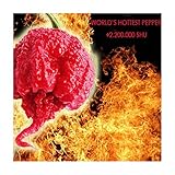 foto Semi di Peperoncino Carolina Reaper HP22B, miglior prezzo EUR 4,90, bestseller 2024