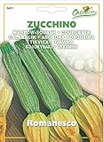 foto Hortus 56ZUC6431 Maxi Busta Ortovivo Zucchino Romanesco, 12x0.2x16.5 cm, miglior prezzo EUR 0,79, bestseller 2024