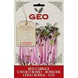 foto Geo Cavolo Rosso Semi da Germoglio, Marrone, 12.7x0.7x20 cm, miglior prezzo EUR 10,78, bestseller 2024