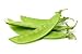 Sugar Snap Snow Peas, 50 Heirloom Seeds Per Packet, Non GMO Seeds, Botanical Name: Pisum sativum 'Macrocarpon Group', Isla's Garden Seeds new 2024