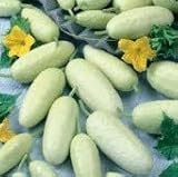 Photo David's Garden Seeds Cucumber Pickling White Miniature 9881 (White) 50 Non-GMO, Open Pollinated Seeds, best price $4.45, bestseller 2025