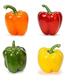 Foto 100 Piezas Rojo Verde Amarillo Naranja Mixto Semillas De Pimiento Morrón Para Plantar Al Aire Libre Cree Un Espléndido Jardín De Verduras Brillantes Amado Por Todos, mejor precio 4,97 €, éxito de ventas 2024