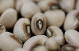 Photo Pea Blackeye Great Heirloom Vegetable by Seed Kingdom Bulk 1 Lb Seeds, best price $16.95 ($1.06 / Ounce), bestseller 2025