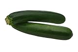 Photo Black Beauty Zucchini Seeds - Non-GMO - 7 Grams, Approximately 60 Seeds, best price $3.99, bestseller 2024