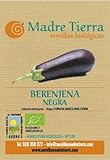 Foto Semillas ecológicas de Berenjena Negra, mejor precio 9,12 €, éxito de ventas 2025