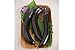 David's Garden Seeds Eggplant Orient Express (Purple) 25 Non-GMO, Hybrid Seeds new 2024