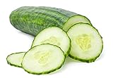 Photo Cucumber Seeds for Planting Outdoors, 210 Straight Eight Cucumber Seeds, Thicker Cucumbers Than with Persian Cucumber Seeds, 6.3 Grams, best price $6.97, bestseller 2024