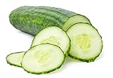 Photo Cucumber Seeds for Planting Outdoors, 210 Straight Eight Cucumber Seeds, Thicker Cucumbers Than with Persian Cucumber Seeds, 6.3 Grams, best price $6.97, bestseller 2024