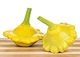 Foto Gelbe Ufo Zucchini Yellow Squash - 20 Samen, bester Preis 3,59 €, Bestseller 2024