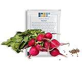 Photo 500 Cherry Belle Radish Seeds, USA Grown - Easy to Grow Heirloom Radish Seeds - Spring Vegetable Garden Seeds, First Harvest in 25 Days - Non GMO Radish Seeds - Premium Red Radish Seeds by RDR Seeds, best price $5.99 ($0.01 / Count), bestseller 2024