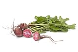 Photo Chioggia Beet Seeds, 100+ Heirloom Seeds Per Packet, (Isla's Garden Seeds), Non GMO Seeds, Botanical Name: Beta vulgaris, best price $5.79 ($0.06 / Count), bestseller 2024