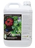 Foto CULTIVERS Fertilizante Huerto Ecológico de 5 L. Abono Líquido para Hortalizas 100% Orgánico y Natural. Mejor Sabor, Mayor Calidad, Potencia el Crecimiento y Aumenta la Cosecha, mejor precio 29,90 €, éxito de ventas 2025