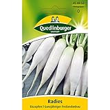 Foto Quedlinburger Radies 'Eiszapfen', 1 Tüte Samen, bester Preis 1,59 € (530,00 € / kg), Bestseller 2024