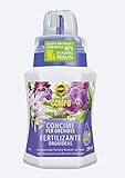 Foto COMPO Fertilizante Orquídeas con guano, Para plantas sensibles, 250 ml, mejor precio 3,95 €, éxito de ventas 2024