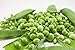Early Frosty Pea Seeds, 50 Heirloom Seeds Per Packet, Non GMO Seeds, Isla's Garden Seeds new 2024