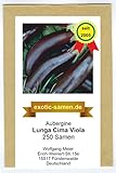 Foto Aubergine - Lunga Cima Viola - alte italienische Regionalsorte - 250 Samen, bester Preis 3,99 €, Bestseller 2024